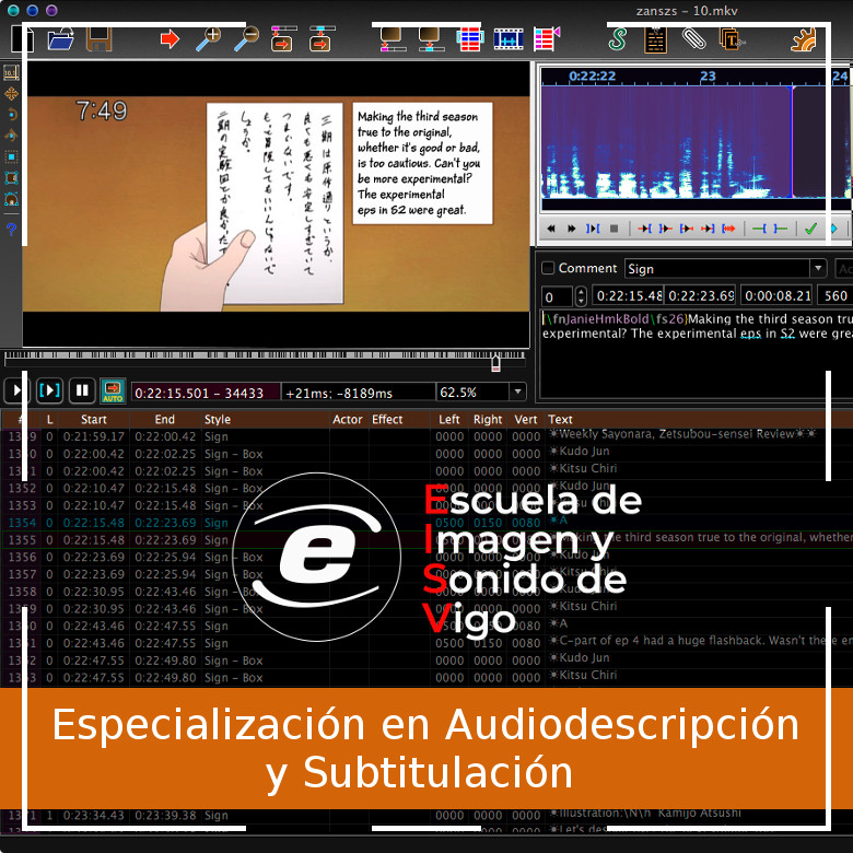 Curso de Especialización de Audiodescripción y Subtitulación